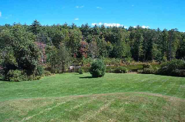 The view from our bedroom window